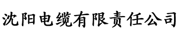 亚洲日韩久久AV无码电缆厂logo